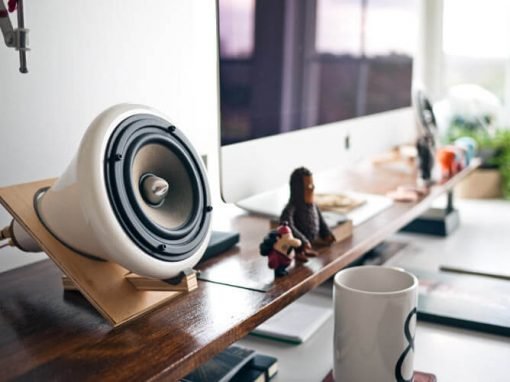 Divi Team Bundle Divi Team Bundle